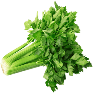 Celery - Bundle
