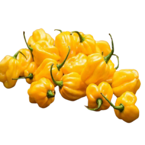 Yellow Pepper - Portion