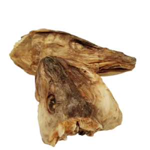 Stockfish Head - Small
