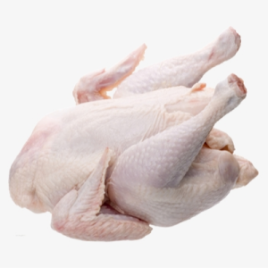 Frozen Food