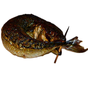 Smoked Titus Fish x1