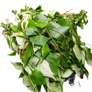 Uziza (Hot leaf)  - Bundle