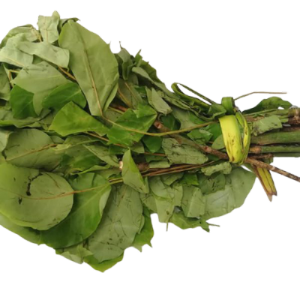 Oha Leaf - Bundle