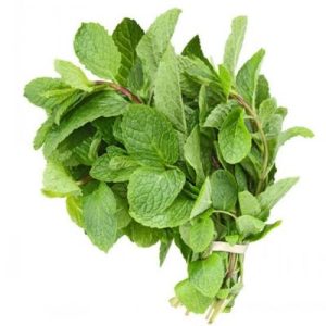 Mint Leaf - Bundle