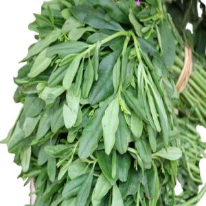 Waterleaf (Uncut) - Bundle