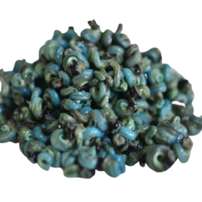 Periwinkle
