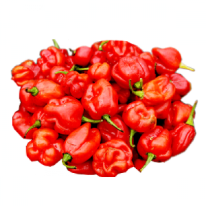 Red Habanero Pepper (small portion)