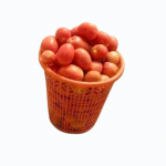 Fresh Tomato - Basket