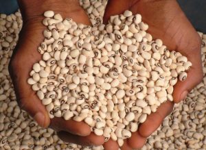 White Beans | Black Eyed Beans | Iron Beans - Mudu