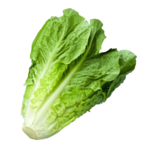 Lettuce - Bunch