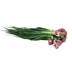 Spring Onions - Bundle