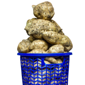 Sweet Potato (Basket)