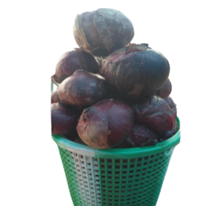 Onions (1/2 Rubber Basket)