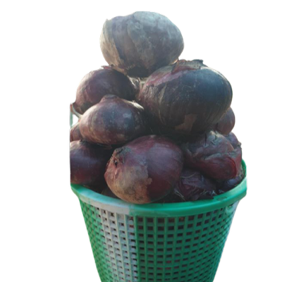Onions