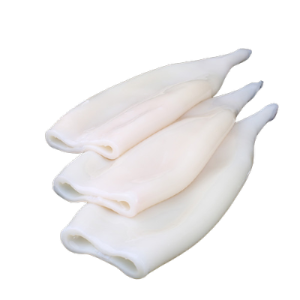 Calamari Frozen - 1kg/Pack