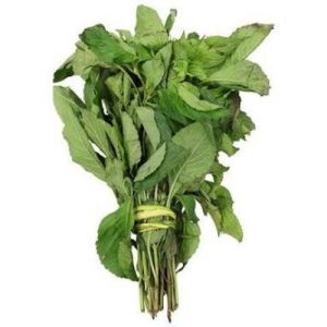 Scent Leaves - Bundle