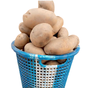 Irish Potato (Basket)