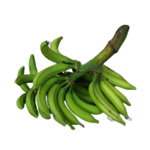 Unripe Plantain - Whole Bunch