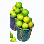 Orange | Basket