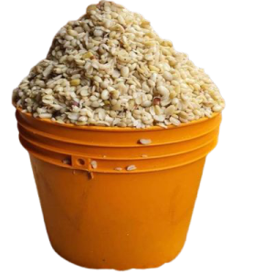 Breadfruit (Ukwa) - 1 Custard Rubber