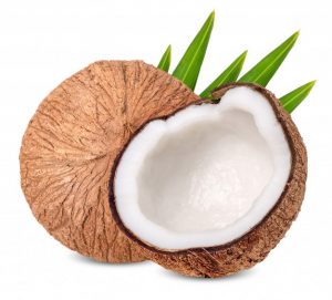 Coconut x1
