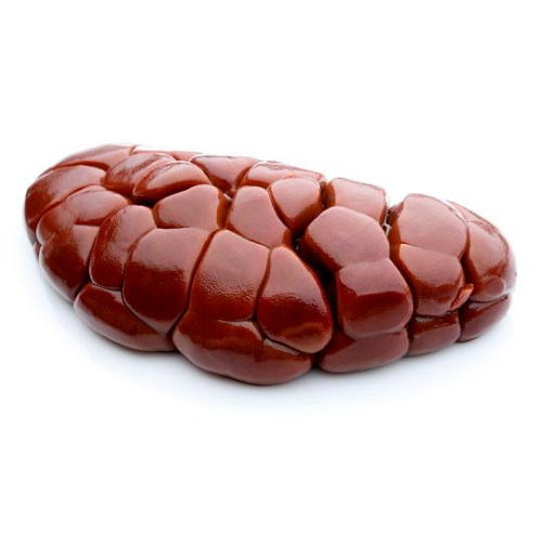 Cow Kidney (Uncut)