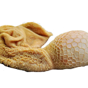 Goat Intestine (Assorted with Shaki, Roundabout) - 1kg