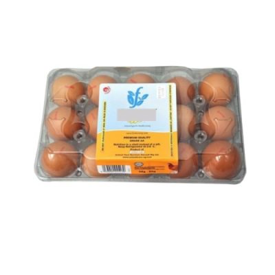 Fresh & Eggtoxic Eggs (15)