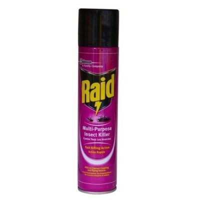Raid Multipurpose Insect Action Killer (750ml)