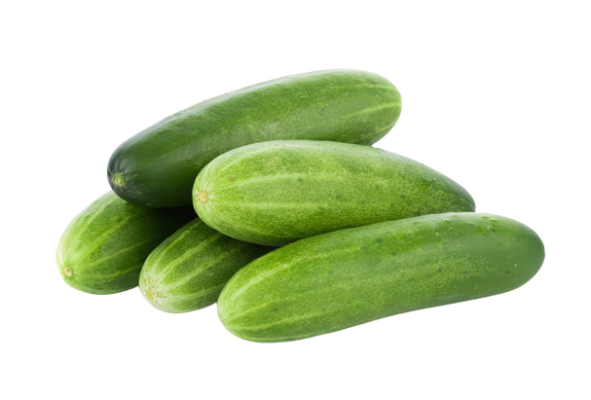 Cucumber | Small Size (portion)