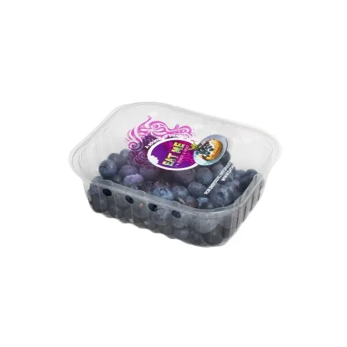 blue-berries-150gr-frontview__1_-removebg-preview