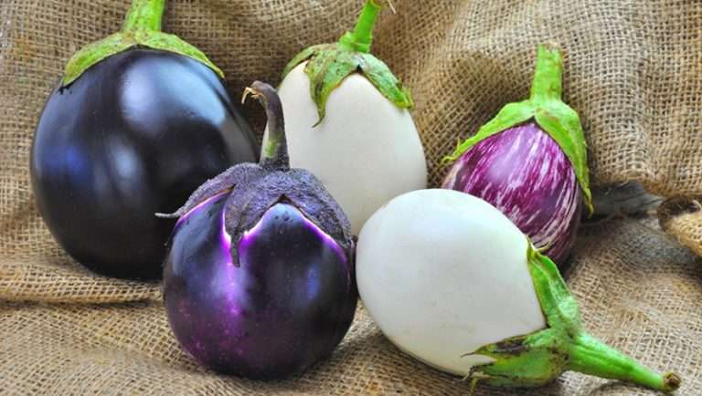 Benefits of Garden Egg In Nigerian Dishes