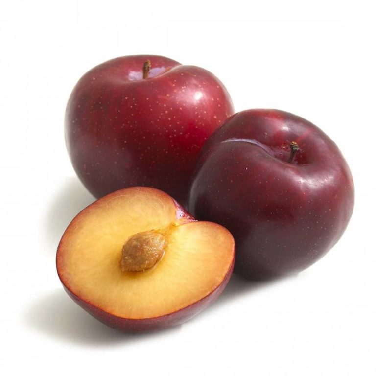 plum fruit
